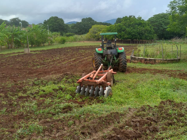 Apoio aos agricultores: Prefeitura de Cajazeiras avança na preparação de terras para o plantio