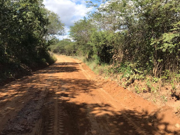 Trabalho no campo: Prefeitura de Cajazeiras avança na recuperação de estradas vicinais