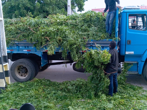 Infraestrutura avança com serviços de limpeza, drenagem e iluminação em todos os bairros