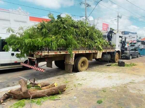 Infraestrutura intensifica limpeza urbana e recolhimento de podas e entulhos em Cajazeiras