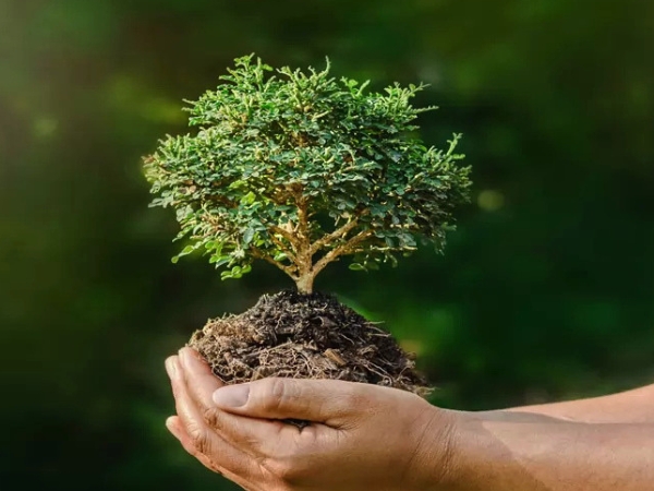 Secretaria de Meio Ambiente trata de demandas sobre licenciamento ambiental em reunião na Sudema